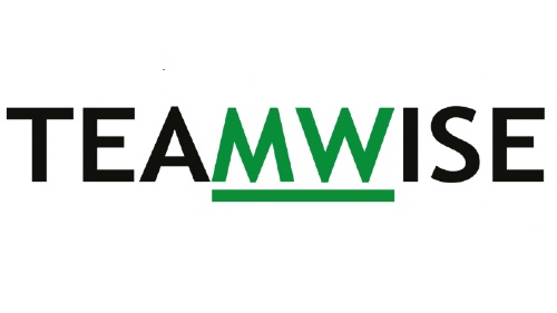 Teamwise
